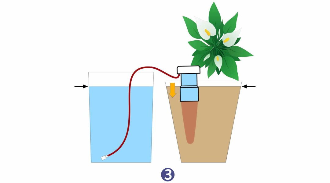 Blumat für Zimmerpflanzen