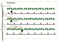 Hochbeetreihe 10 - 30er Set